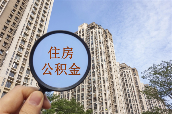 呼和浩特深圳公积金（深圳公积金首页）